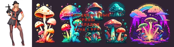 PSILOCYBIN Абаза