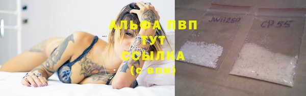 PSILOCYBIN Абаза