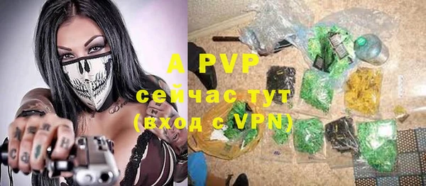 PSILOCYBIN Абаза