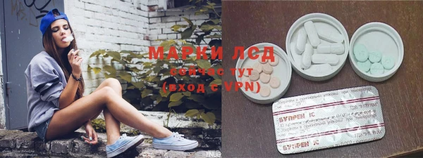 PSILOCYBIN Абаза