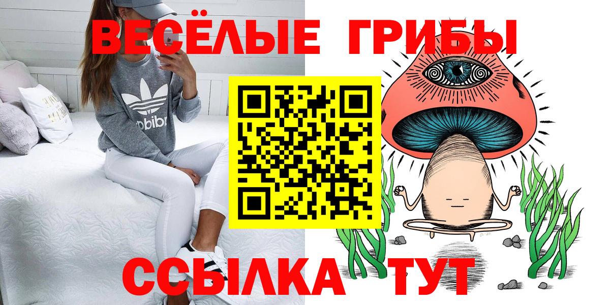 Ржев  Псилоцибиновые грибы мицелий  закладка  Вход с VPN 